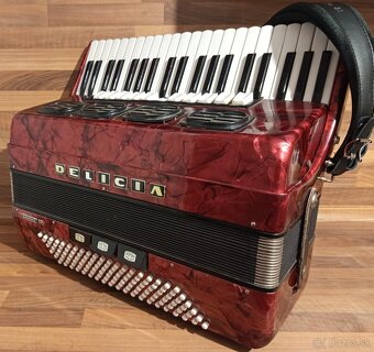 Akordeon, harmonika, heligonka - 9