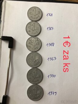 Mince Magyar 4 - 9