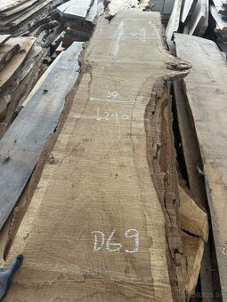 dubové fošne, dub letný, dub - 9