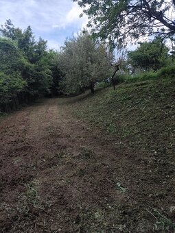 Čistenie a mulčovanie pozemkov, odstraňovanie náletov - 9