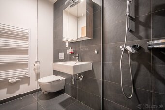 Predaj 1 izbového bytu 44 m2 , Bory Bývanie, Devínska BA - 9