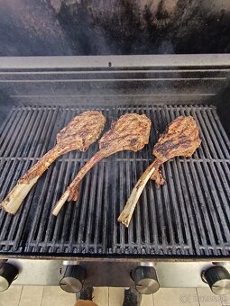 Grill Chair Broil Professional True Infrared - 9