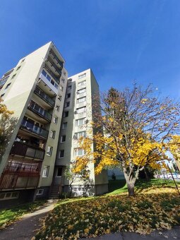 1 izbový byt po kompletnej rekonštrukcii, Vansovej 9, Prešov - 9