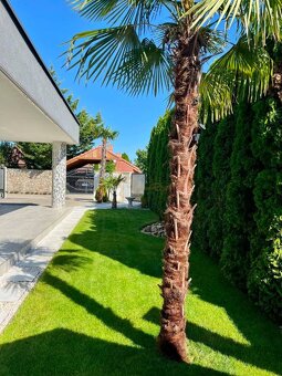 moderný 4-izb. RD pri jazere Veľké Košariská, Dunajská Lužná - 9