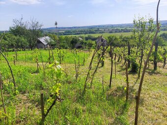 DVA DOMČEKY + 2 PIVNICE na 2 075 m² - 9