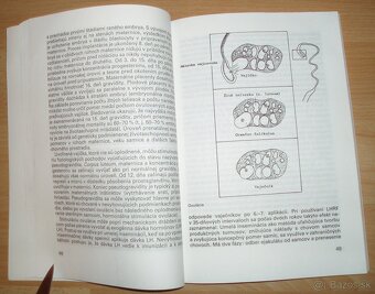 Intenzívny chov brojlerových králikov - 9