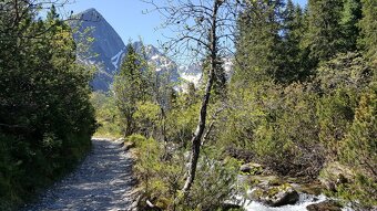 Chata Tatry od 150,-eur/noc/celá chata s wellness v cene - 9