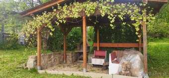 ZÁHRADA S CHATKOU A ALTÁNKOM, 375M2, NIŽNÁ ÚVRAŤ/HERINGEŠ - 9