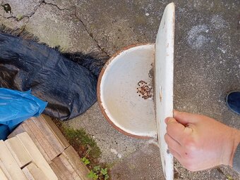 Predám staré liatinové umývadlá smaltované - 9