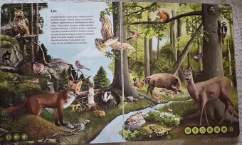 Kúzelné čítanie 3+ - 9