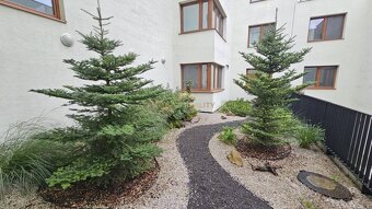 Novostavba 1 izbový byt s balkónom, Pekná cesta, Bratislava - 9