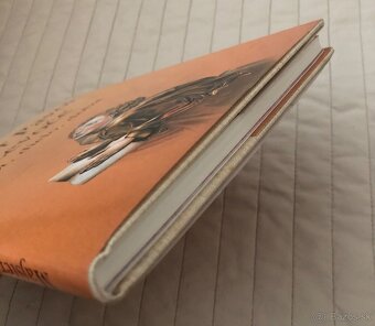 Majster Pavol z Levoče - 9