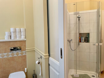 BA I. Na prenájom 5 izbový byt v centre - 9