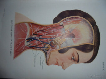 STAROŽITNÉ LEKÁRSKE KNIHY - 9