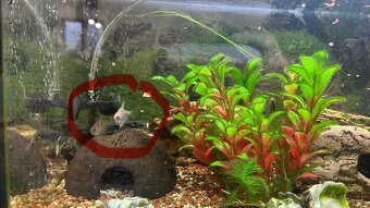Akvárium s vybavením - 9