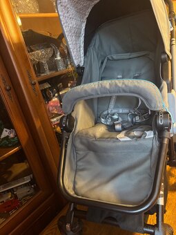 Kocik Concord Wanderer - 9