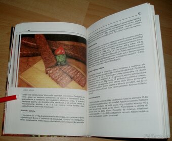 Domáci údenár - 9