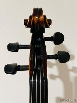 Predám krásne husle, 4/4 husle: "BRAUN Secret", 89, model - 9