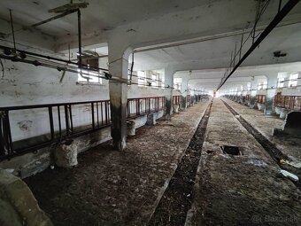 Predaj výrobno-poľnohospodárskeho areálu,Podhradie-Martin - 9