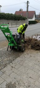 Frézovanie pňov, odstraňovanie pňov, výrub stromov - 9