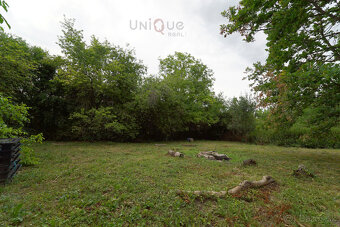 Na predaj usadlosť na samote s veľkým pozemkom (12ha) Okoč - 9