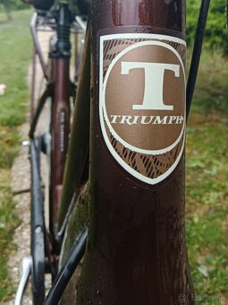 DÁMSKY BICYKEL TRIUMPH ALU 28" - 9