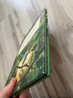 Minpinkovia - Roald Dahl - 9