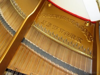jedinečný unikát Steinway & Sons z roku 1860 - 9