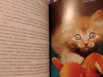 Knihy- mačky, zvieratá, levy, fínčina, Calm (v angličtine) - 9