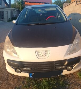 Peugeot 307 1.4 benzin 65kw - 9