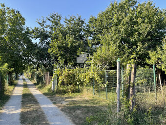 Záhrada v Nitre - v záhradkárskej oblasti - 9