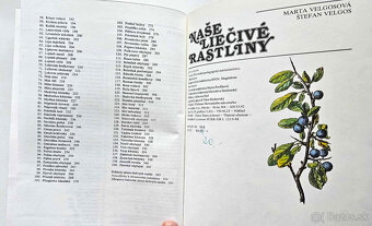 kniha 'Naše liečivé rastliny' - 9