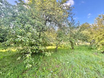 Predaj pôvodného rodinného domu v Olešnej - 9