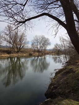 Veľký pozemok v obci Salka - 9