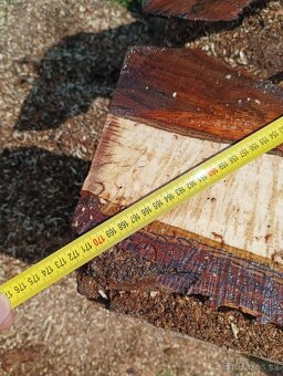 Orechove fosne, hrúbka 84mm - 9