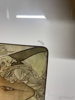 Alfons Mucha 4x jar leto jesen zima certifikat - 9
