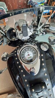 Yamaha Drag Star 1100 - 9