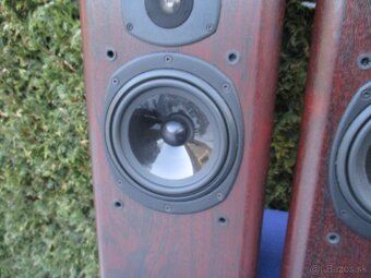 Tanoy 633 Rosewood D30 - 9