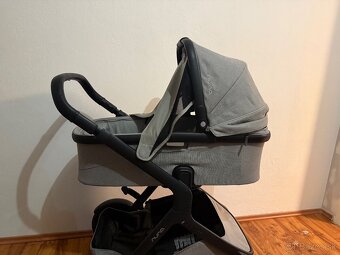 Surodenecky kocik Nuna - 9