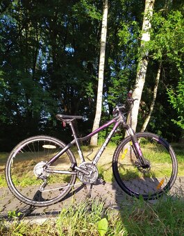 Prodám bicykle Roce Liv - 9
