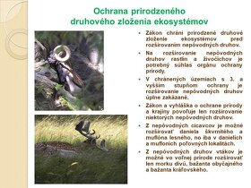 Ochrana prírody na Slovensku - audiovizuálna pomôcka - 9