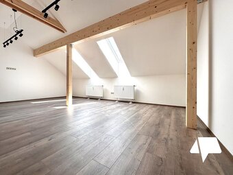 BENEFITY V TEXTE Prenájom, reprezentatívne kancelárie / cow - 9