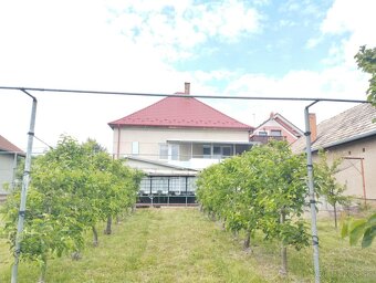 Výhradne: 3-izb. Dom, 1189 m2, Krušovce, okr. Topoľčany - 9