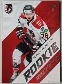 Hokejové kartičky SLOVENSKÁ HOKEJOVÁ LIGA 24/25 - HC PREŠOV - 9