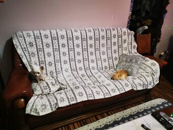 Koženna sedacia suprava - 9