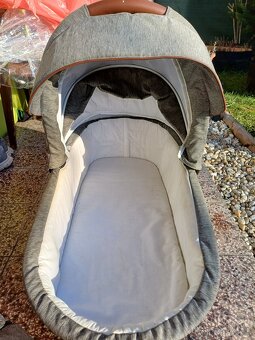 Bebetto luca - 9