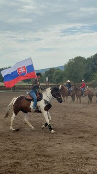 🐎 Jazdenie na koni – Červeny Dvor - 9