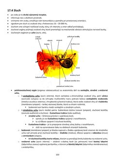 Biológia človeka - 9