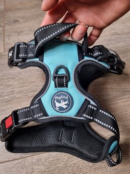 Postroj pre psa - velkost M - 9