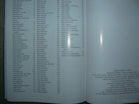 Historické Stříkačky - 9